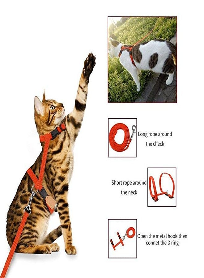 Pups&Pets Nylon Leash with Full Body Harness Set for Cats Adjustable & Durable for Small Pet Walking - Color As Per Availability - Image 5